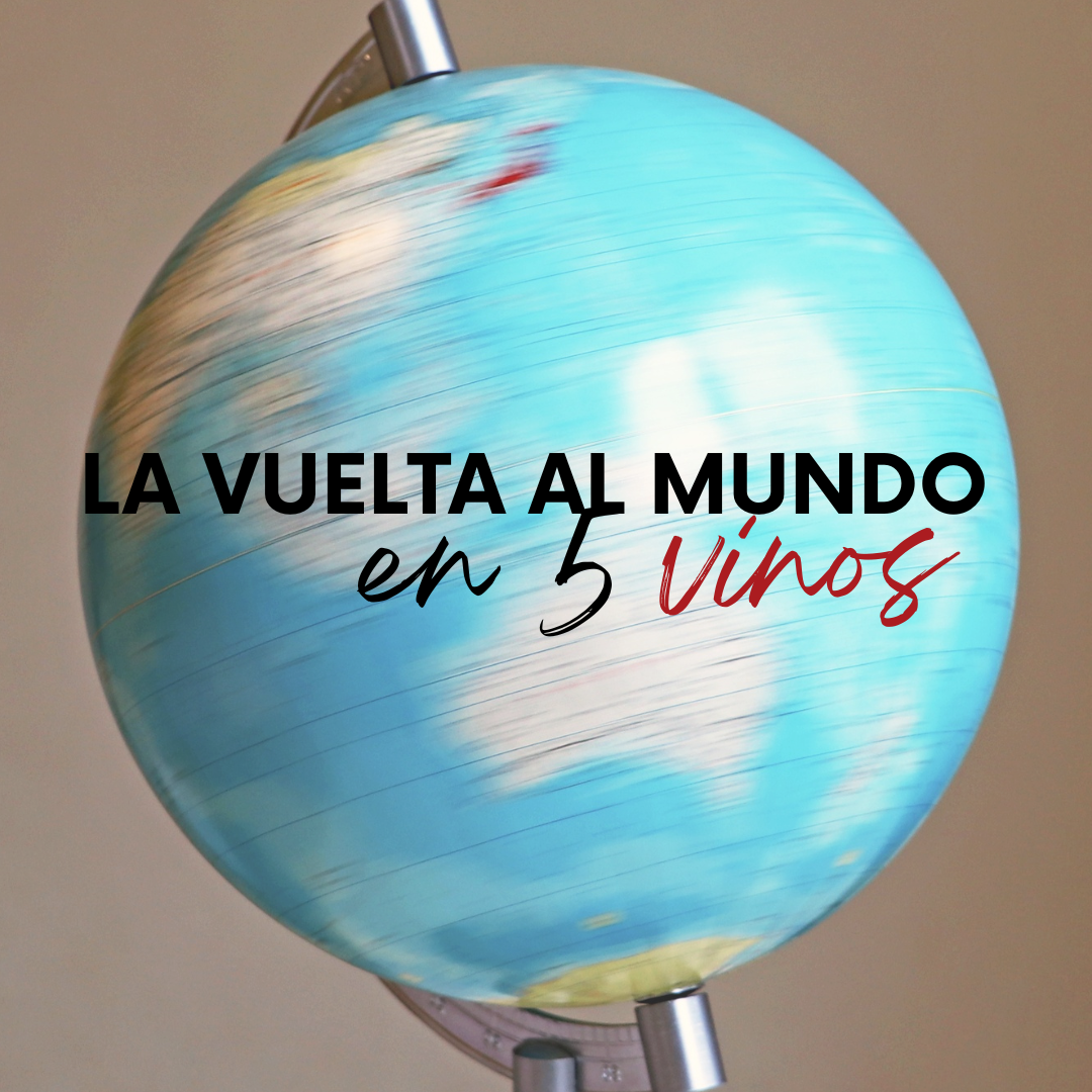 Cata de vinos internacionales