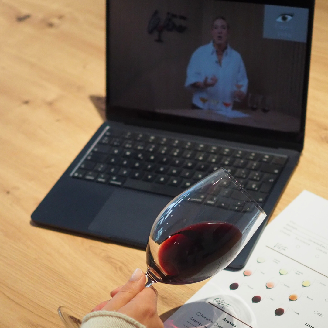 Iniciación sensorial al mundo del vino