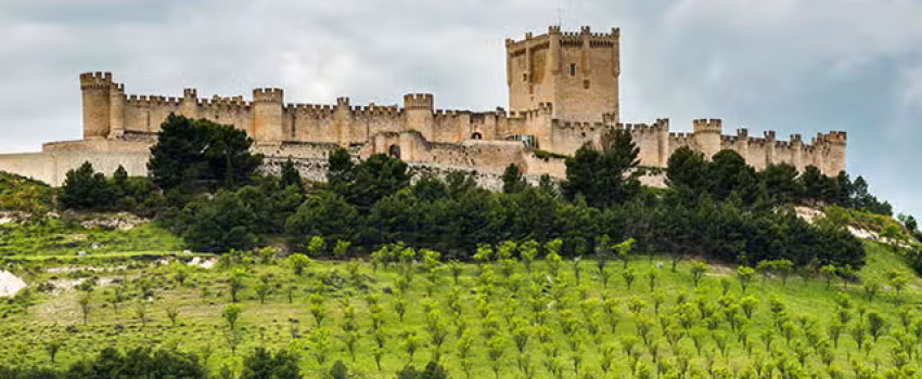 Maridaje entre vino y patrimonio en Valladolid, castillos y bodegas.